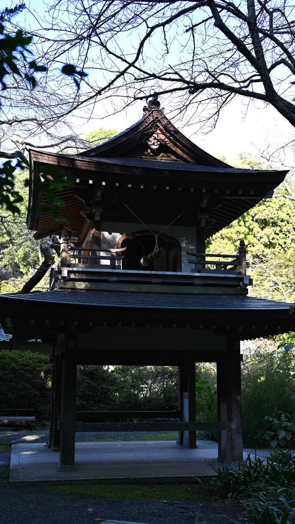 株式会社風雅