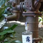 鎌倉クラフトジン露